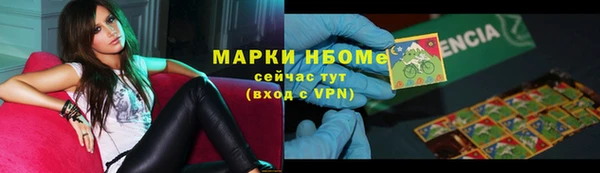 хмурый Богородицк