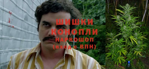 хмурый Богородицк