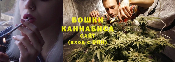 хмурый Богородицк