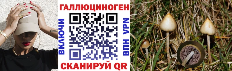наркотики Сургут Псилоцибиновые грибы ЛСД